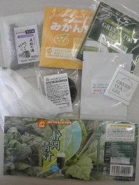 【初回特典】エコライフおすすめ商品セット